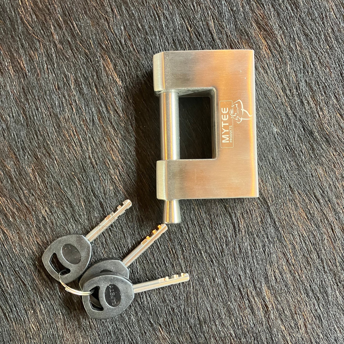 Shipping Container Lock