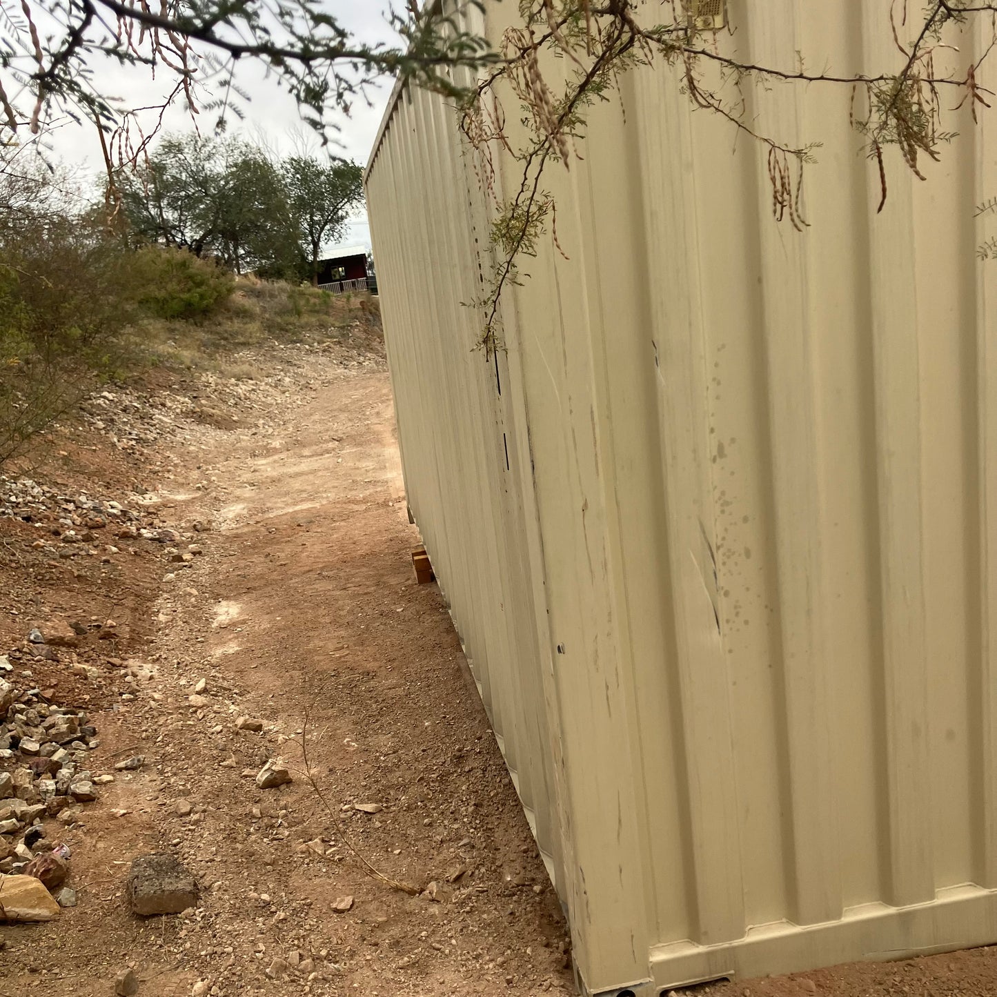 20' One Trip Shipping Container #7738590